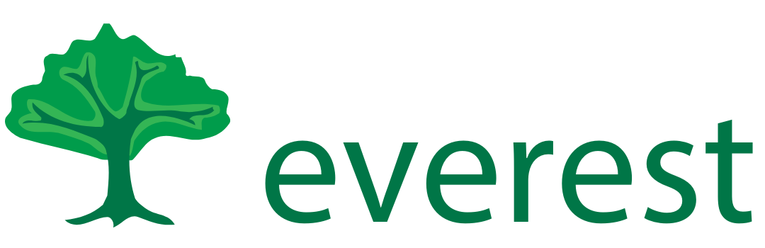 Everest Web Holding
